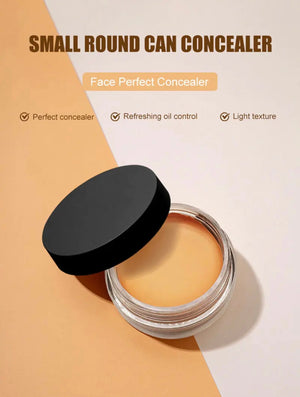 PRIVATE LABEL, 100pcs Wholesale Luxury PREMIUM Quality Vegan, Cruelty Free High Definition Concealer, Full Coverage Cream Concealer 11 Shades