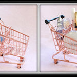 Wholesale 10 piece Mini Cosmetic Bundle, Mini Shopping Cart for Eyelashes, Scrunchies, Lipgloss Bundle Girly Trolley Cosmetic Packaging